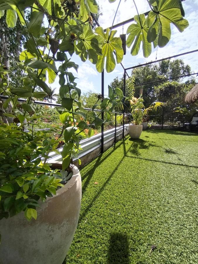 Hostel Casa Xtakay فالادوليد المظهر الخارجي الصورة