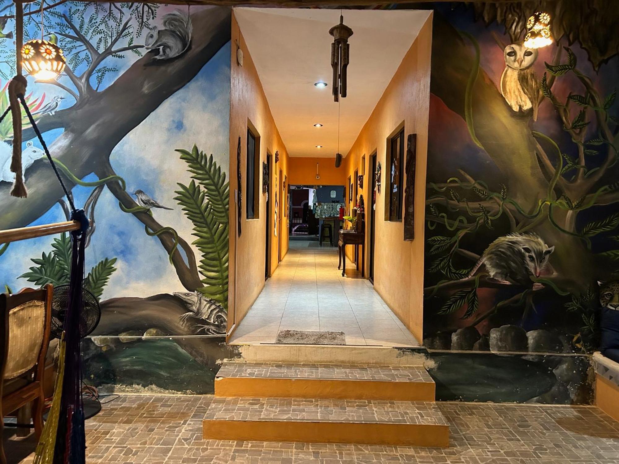 Hostel Casa Xtakay فالادوليد المظهر الخارجي الصورة